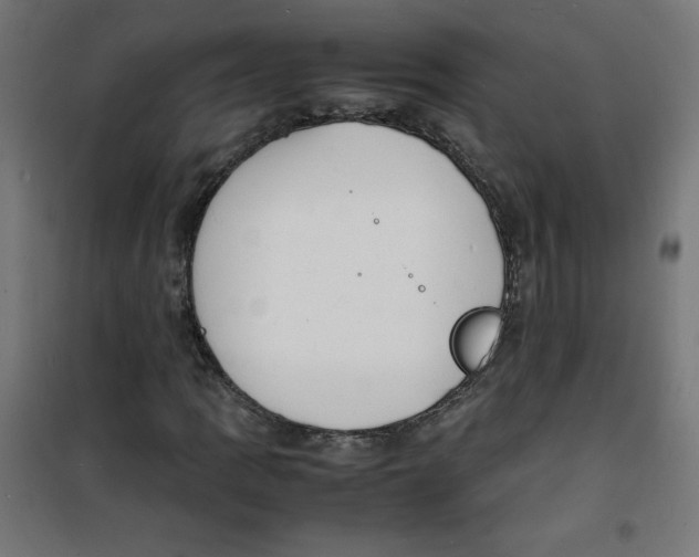 X0000100311109200807031140