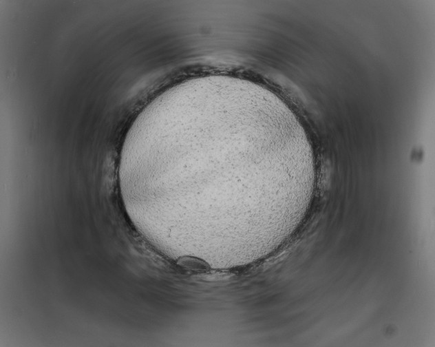 X0000100311110200807031140