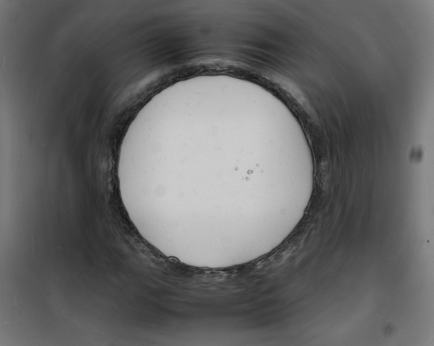 X0000100311111200807031140