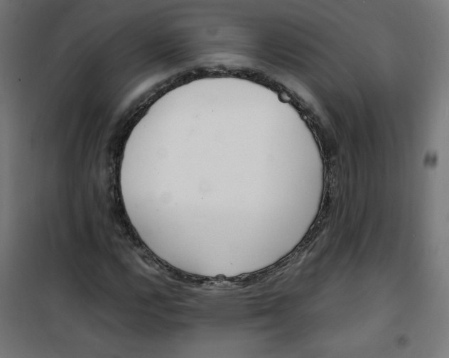 X0000100311112200807031140