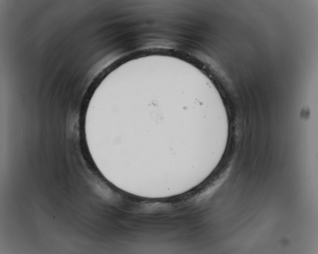 X0000100311113200807031140
