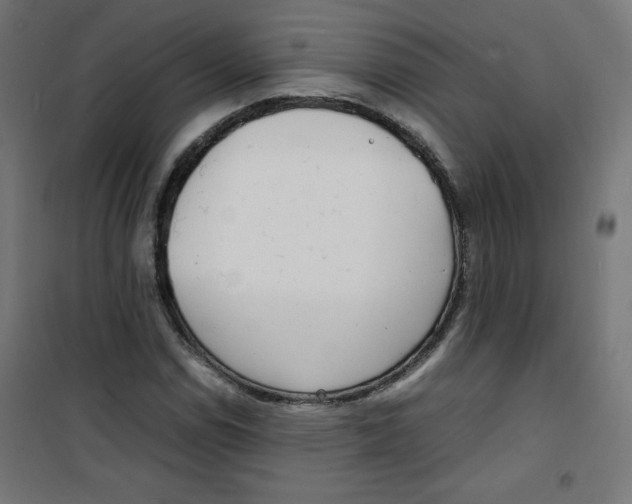 X0000100311114200807031140