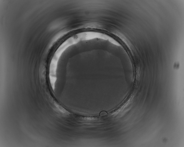 X0000100311115200807031140