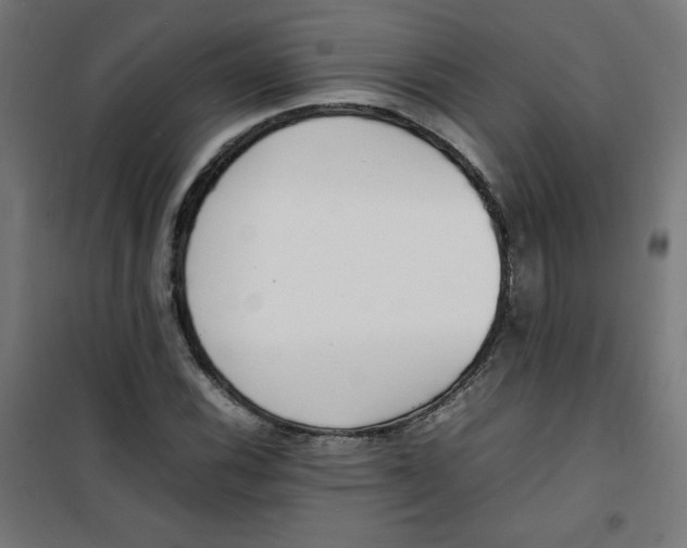 X0000100311116200807031140