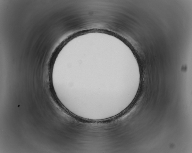 X0000100311118200807031140