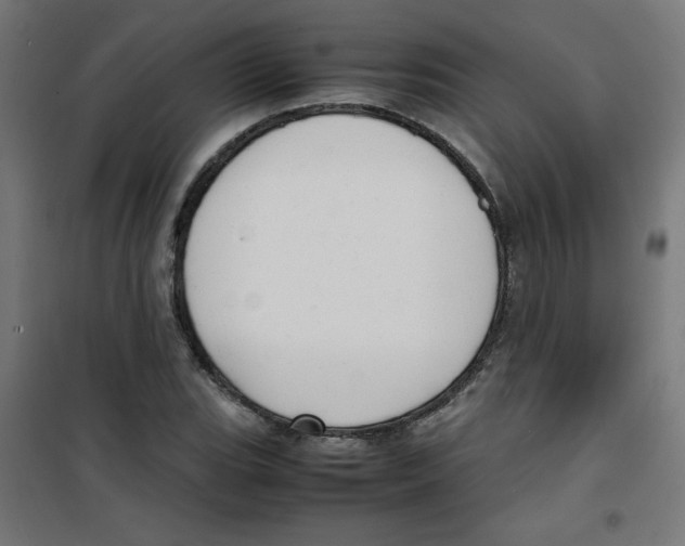 X0000100311119200807031140