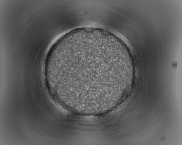 X0000100311120200807031140