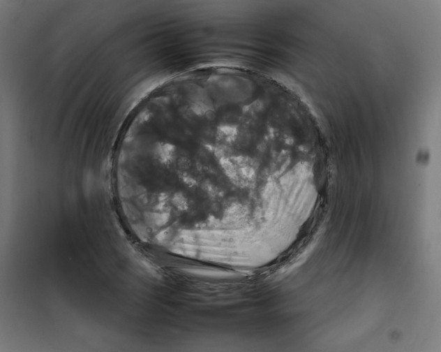 X0000100311121200807031140