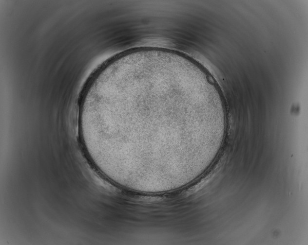 X0000100311123200807031140