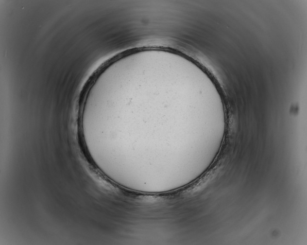 X0000100311124200807031140