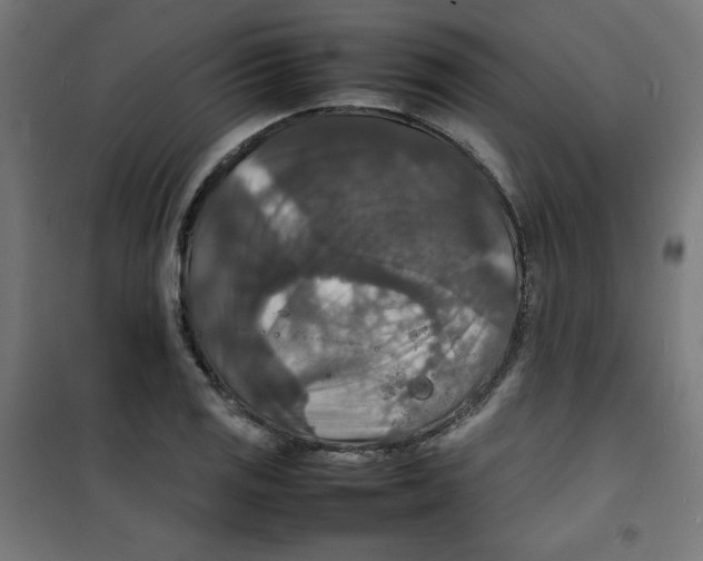 X0000100311125200807031140