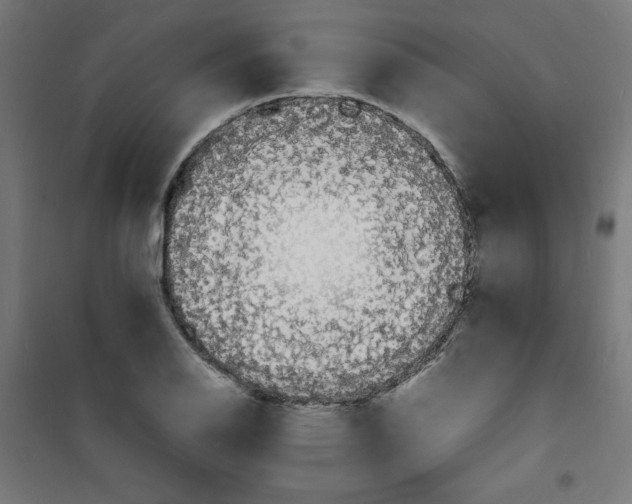 X0000100311126200807031140