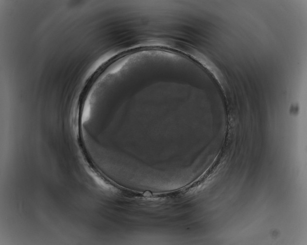 X0000100311127200807031140