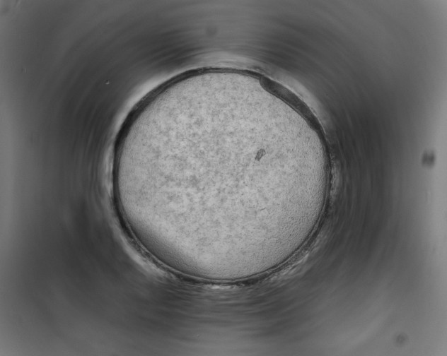 X0000100311128200807031140