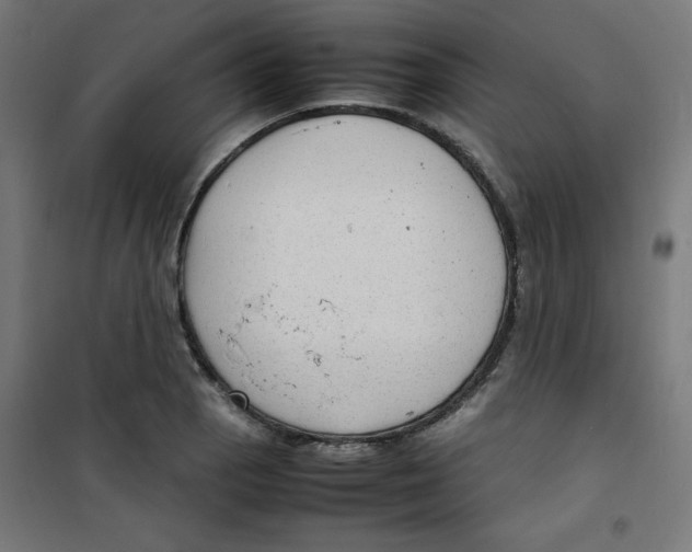 X0000100311129200807031140
