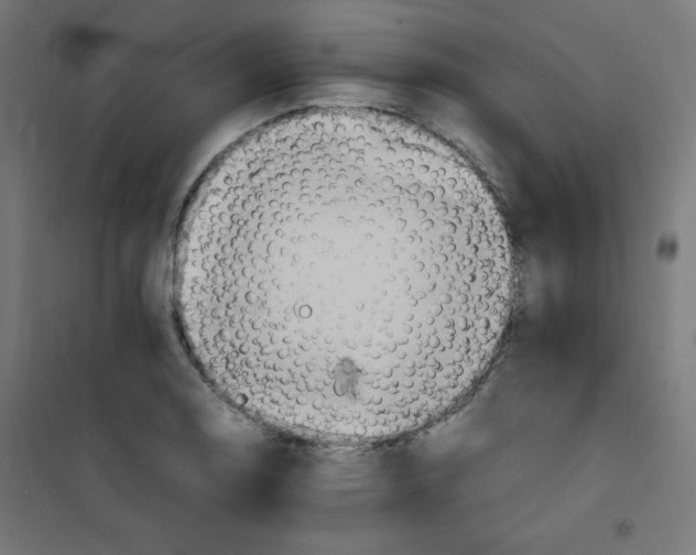 X0000100311130200807031140