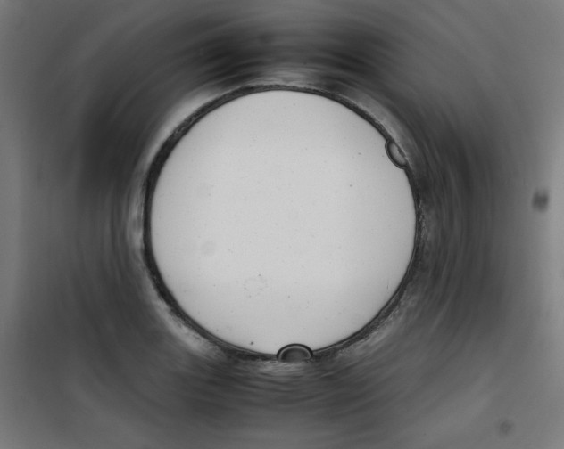 X0000100311131200807031140