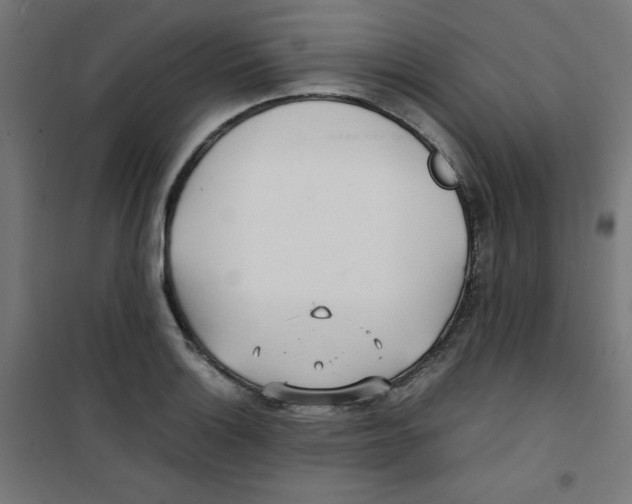 X0000100311132200807031140