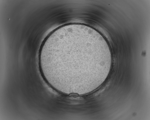 X0000100311133200807031140