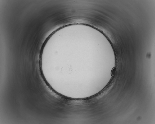 X0000100311134200807031140