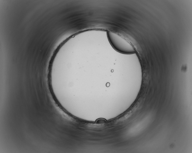 X0000100311135200807031140