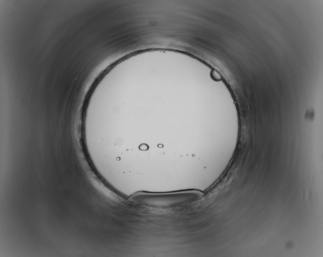 X0000100311136200807031140