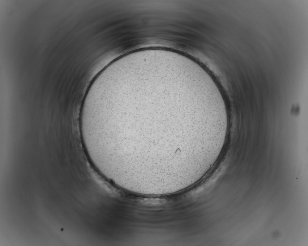 X0000100311137200807031140