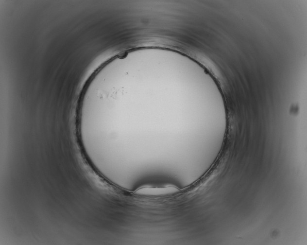 X0000100311138200807031140
