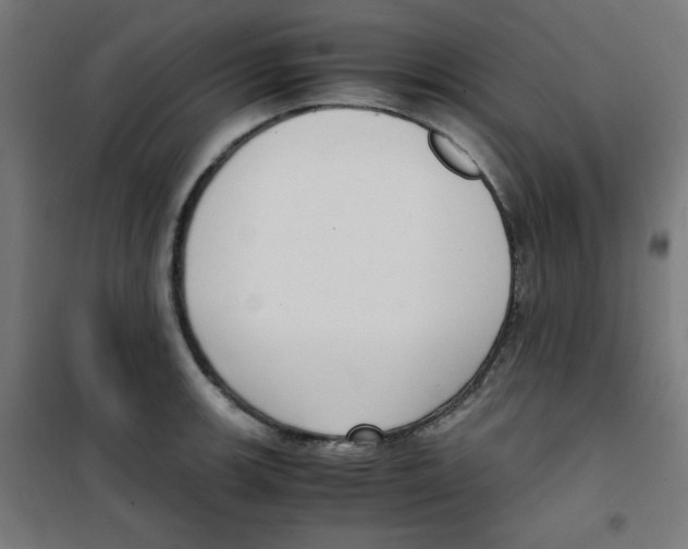 X0000100311139200807031140