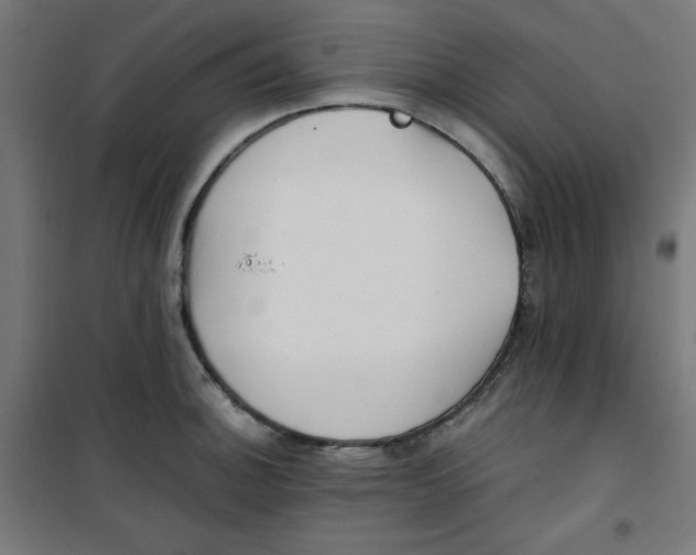 X0000100311140200807031140