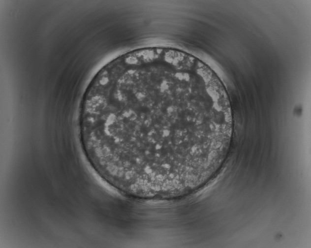 X0000100311142200807031140