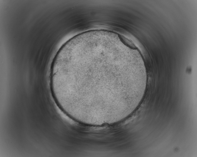 X0000100311143200807031140