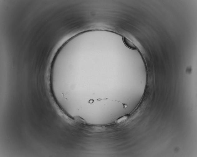 X0000100311144200807031140