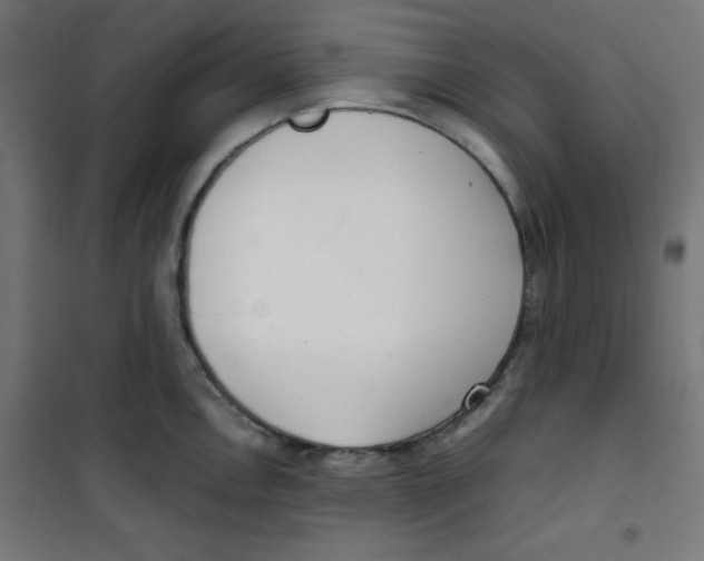 X0000100311146200807031140