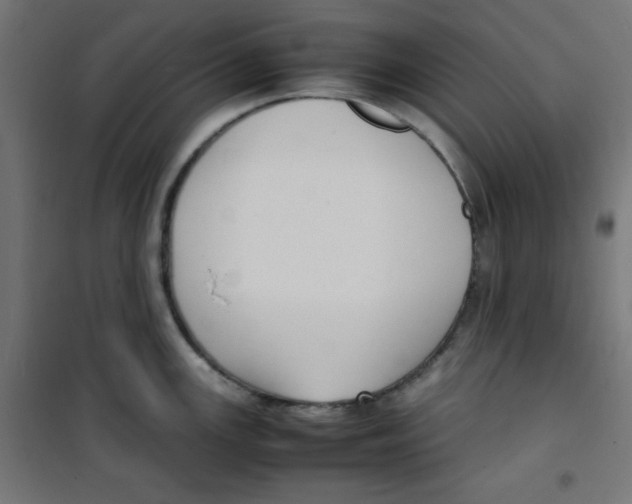 X0000100311147200807031140