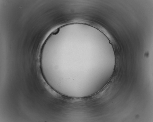 X0000100311148200807031140