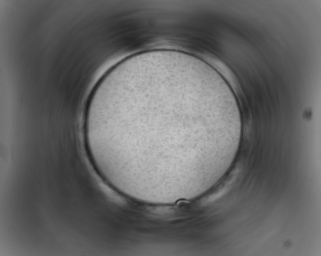 X0000100311149200807031140