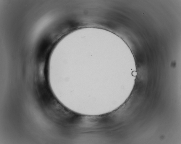 X0000100311150200807031140