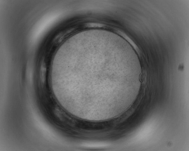 X0000100311151200807031140