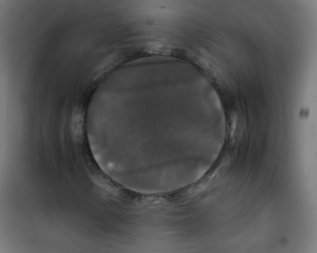 X0000100311154200807031140
