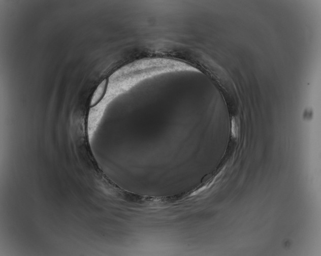 X0000100311155200807031140