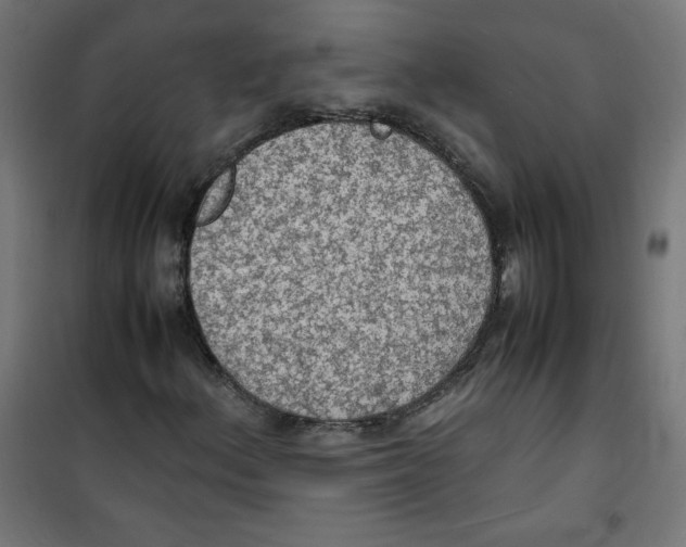 X0000100311156200807031140