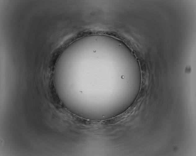 X0000100311157200807031140