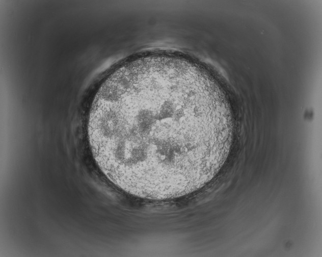 X0000100311159200807031140