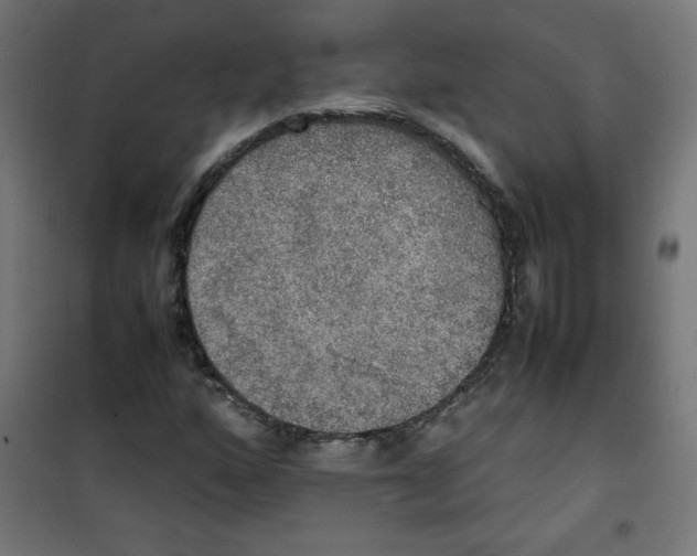 X0000100311160200807031140