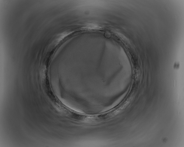 X0000100311161200807031140