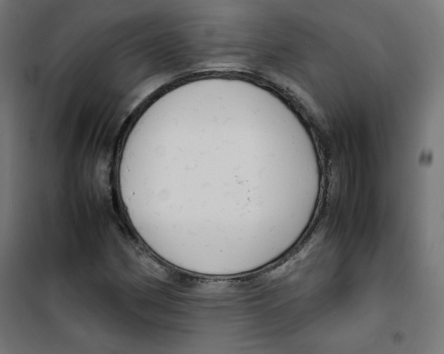 X0000100311162200807031140