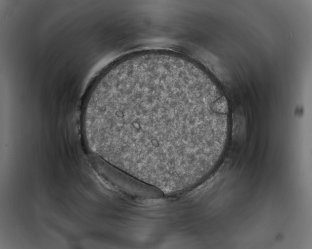X0000100311164200807031140