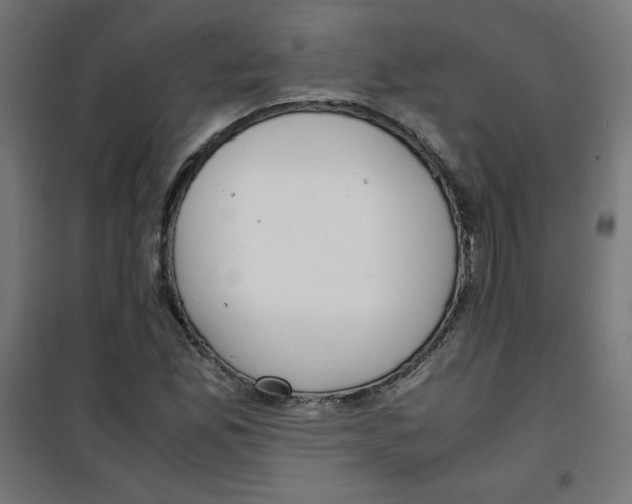X0000100311165200807031140