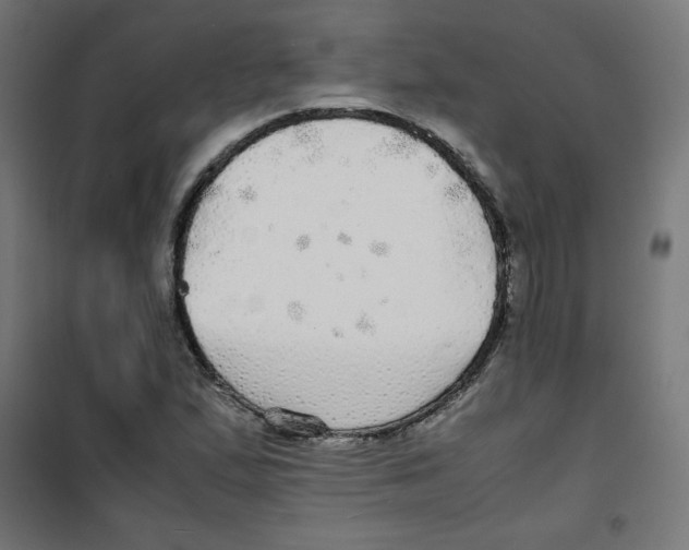 X0000100311167200807031140